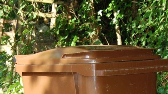 brown bin